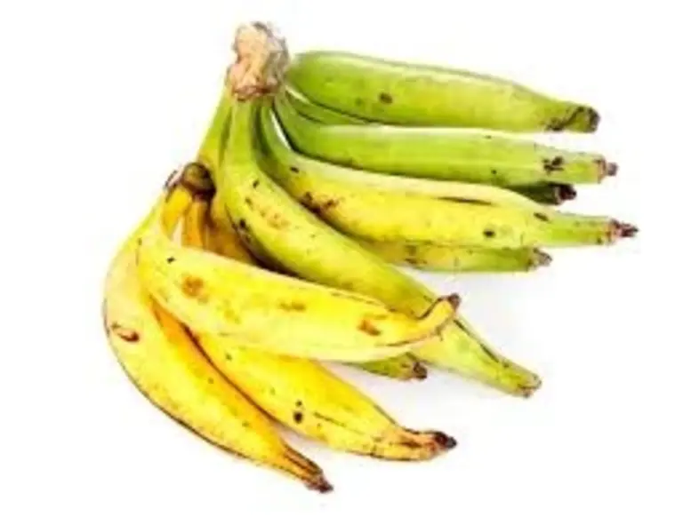 Plantain Bananas